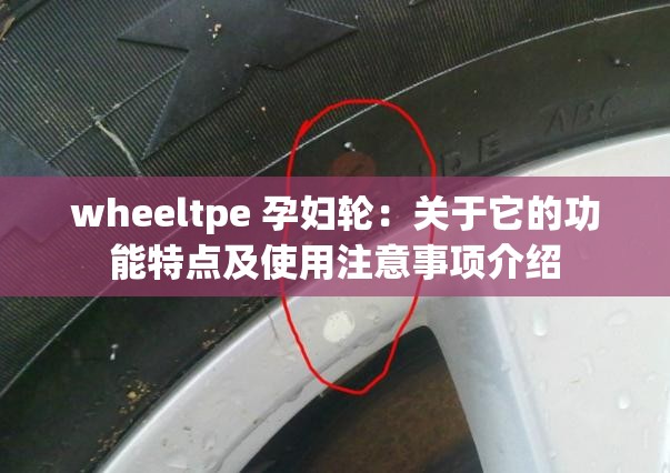wheeltpe 孕妇轮：关于它的功能特点及使用注意事项介绍