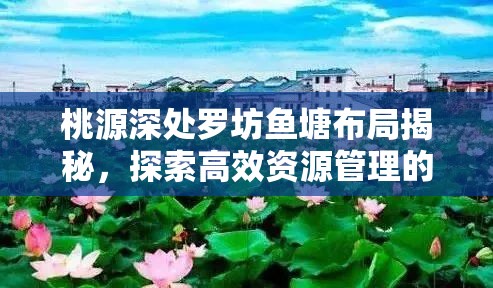 桃源深处罗坊鱼塘布局揭秘，探索高效资源管理的艺术与策略