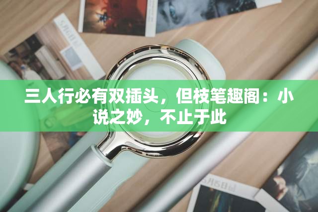 三人行必有双插头，但枝笔趣阁：小说之妙，不止于此