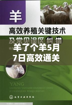 羊了个羊5月7日高效通关策略与秘籍全面深度大揭秘