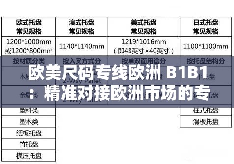 欧美尺码专线欧洲 B1B1：精准对接欧洲市场的专线物流服务