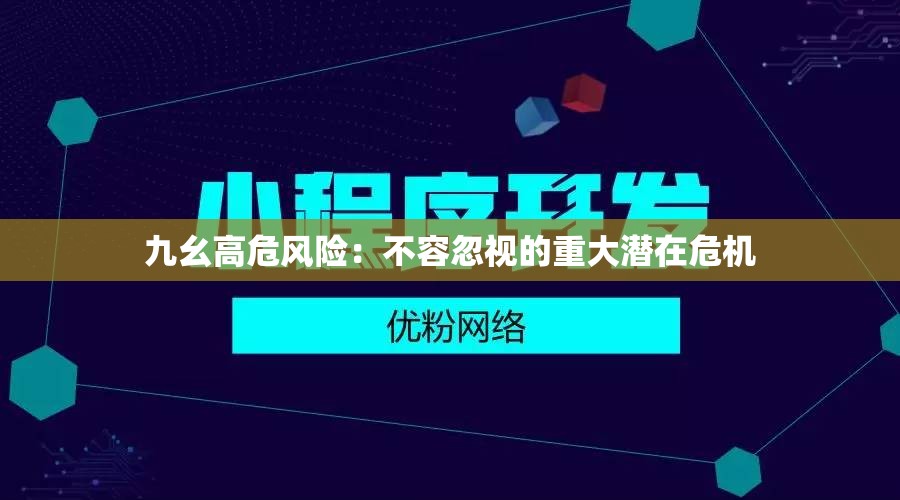 九幺高危风险：不容忽视的重大潜在危机