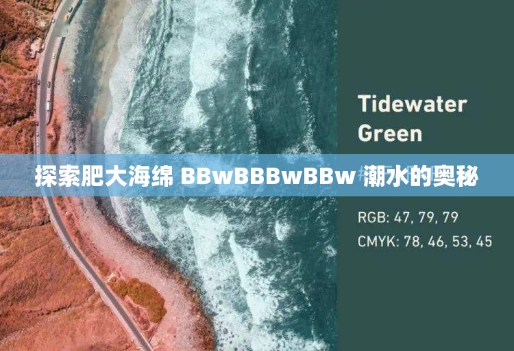 探索肥大海绵 BBwBBBwBBw 潮水的奥秘