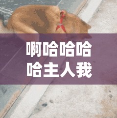 啊哈哈哈哈主人我错了哈哈哈哈柯：是狗还是人？