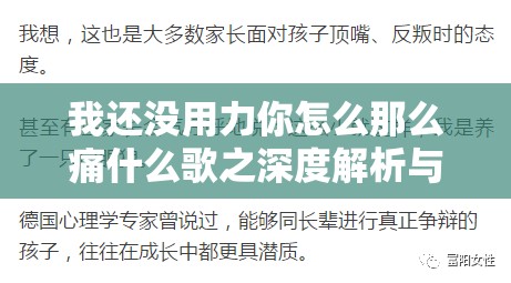 我还没用力你怎么那么痛什么歌之深度解析与探讨
