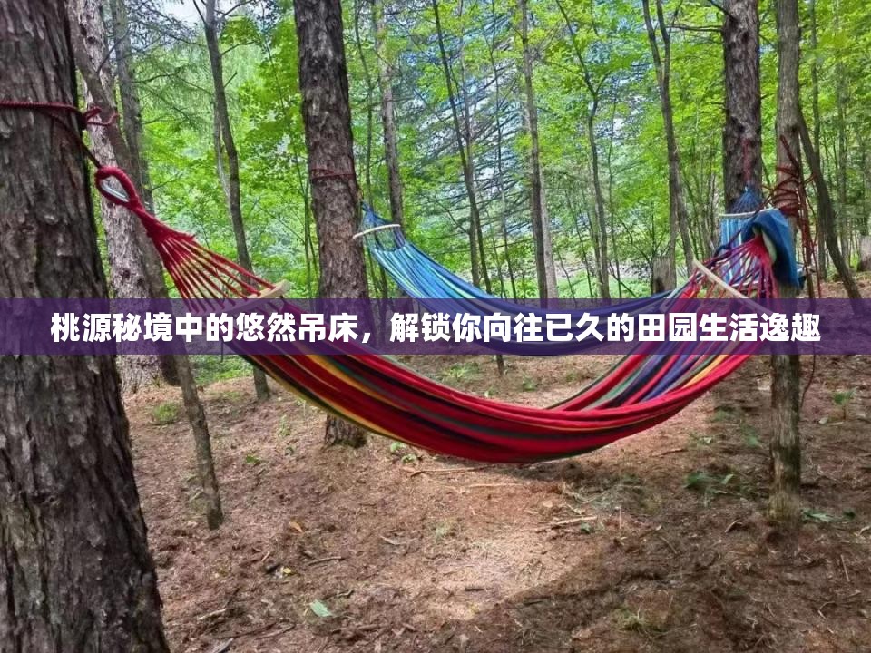 桃源秘境中的悠然吊床，解锁你向往已久的田园生活逸趣