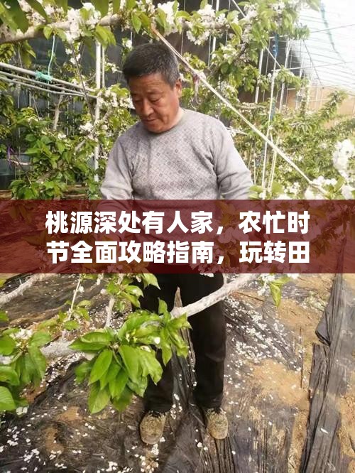 桃源深处有人家，农忙时节全面攻略指南，玩转田园生活，尽享收获满满的喜悦