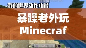 暴躁老外玩Minecraft中国：独特视角下的游戏体验之旅