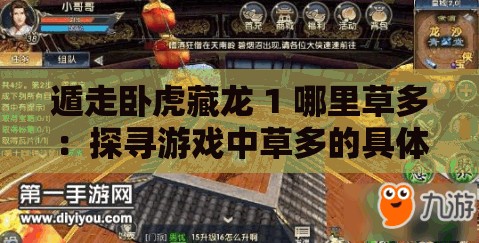 遁走卧虎藏龙 1 哪里草多：探寻游戏中草多的具体位置及相关信息