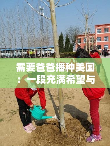 需要爸爸播种美国：一段充满希望与挑战的特殊历程