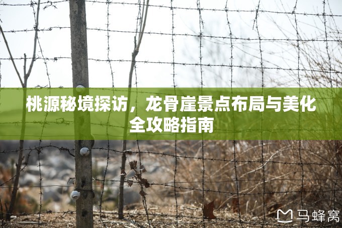 桃源秘境探访，龙骨崖景点布局与美化全攻略指南