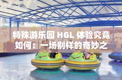 特殊游乐园 HGL 体验究竟如何：一场别样的奇妙之旅