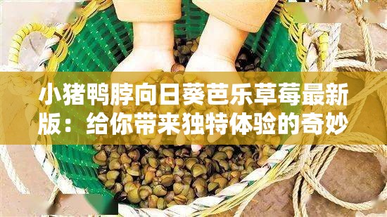 小猪鸭脖向日葵芭乐草莓最新版：给你带来独特体验的奇妙组合