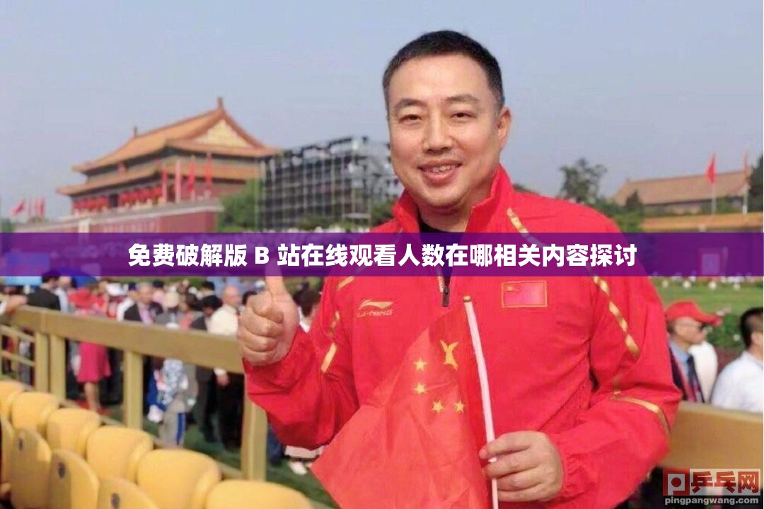 免费破解版 B 站在线观看人数在哪相关内容探讨