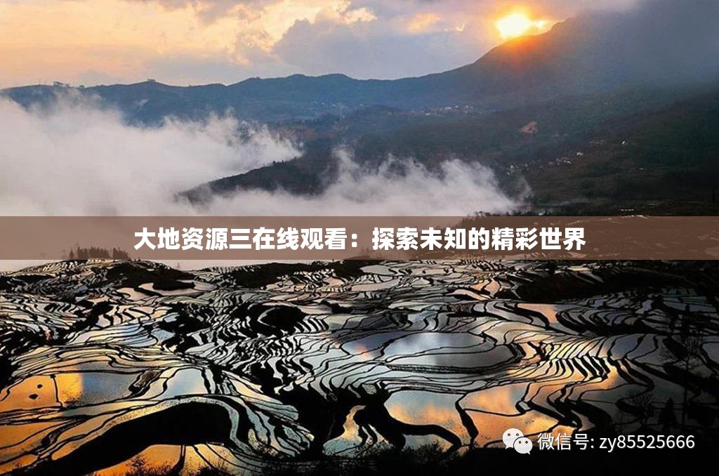 大地资源三在线观看：探索未知的精彩世界