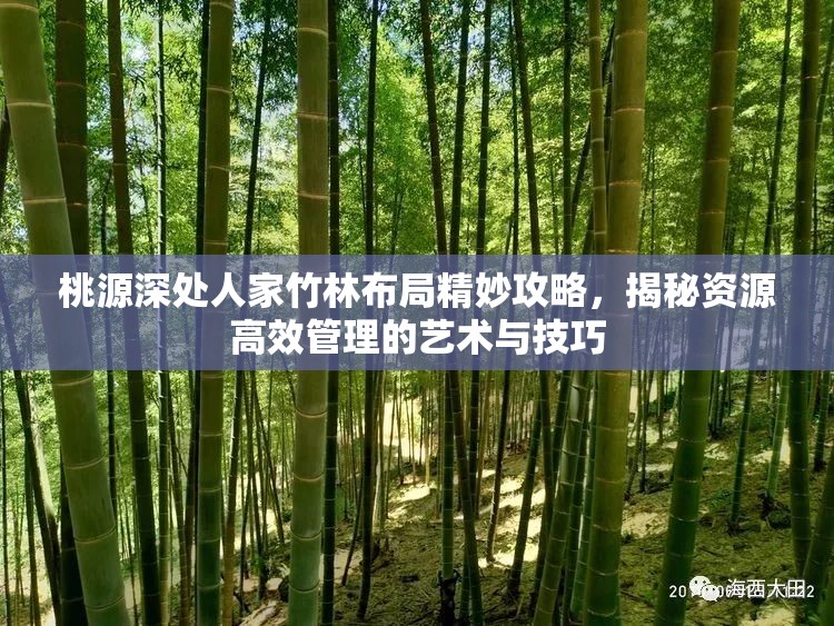 桃源深处人家竹林布局精妙攻略，揭秘资源高效管理的艺术与技巧