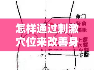 怎样通过刺激穴位来改善身体问题：小花园按摩法