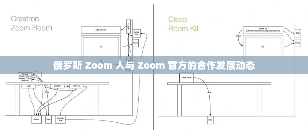 俄罗斯 Zoom 人与 Zoom 官方的合作发展动态