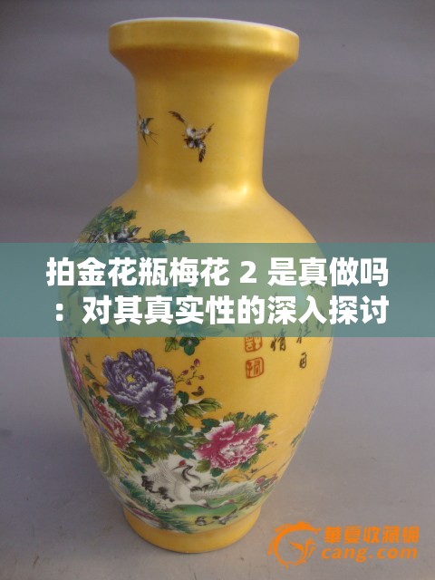 拍金花瓶梅花 2 是真做吗：对其真实性的深入探讨与分析