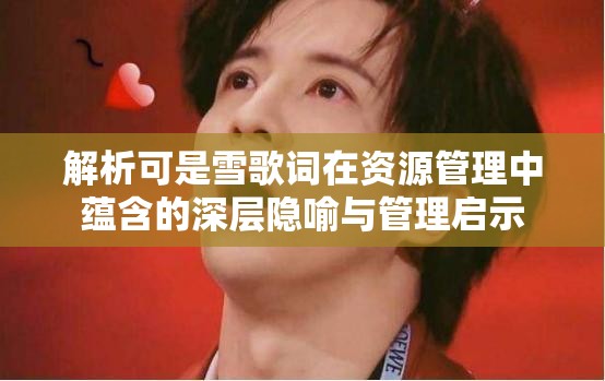 解析可是雪歌词在资源管理中蕴含的深层隐喻与管理启示