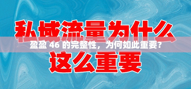 盈盈 46 的完整性，为何如此重要？