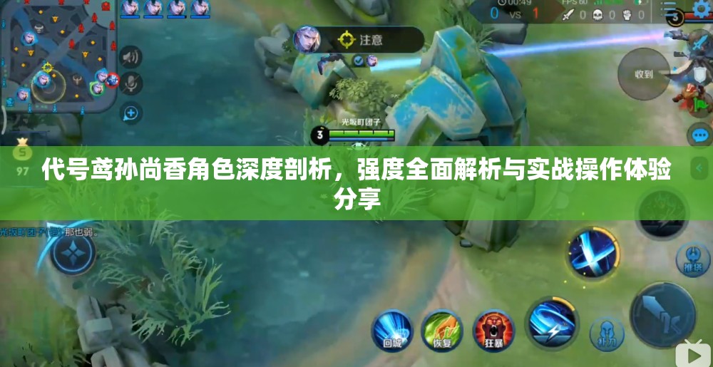 代号鸢孙尚香角色深度剖析，强度全面解析与实战操作体验分享