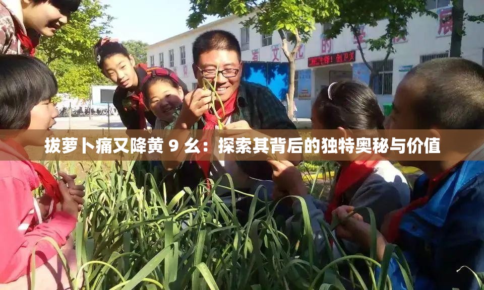 拔萝卜痛又降黄 9 幺：探索其背后的独特奥秘与价值