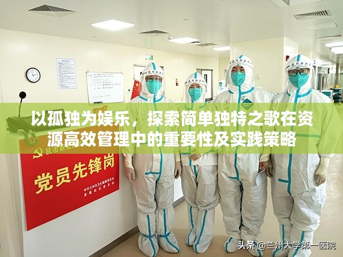 以孤独为娱乐，探索简单独特之歌在资源高效管理中的重要性及实践策略