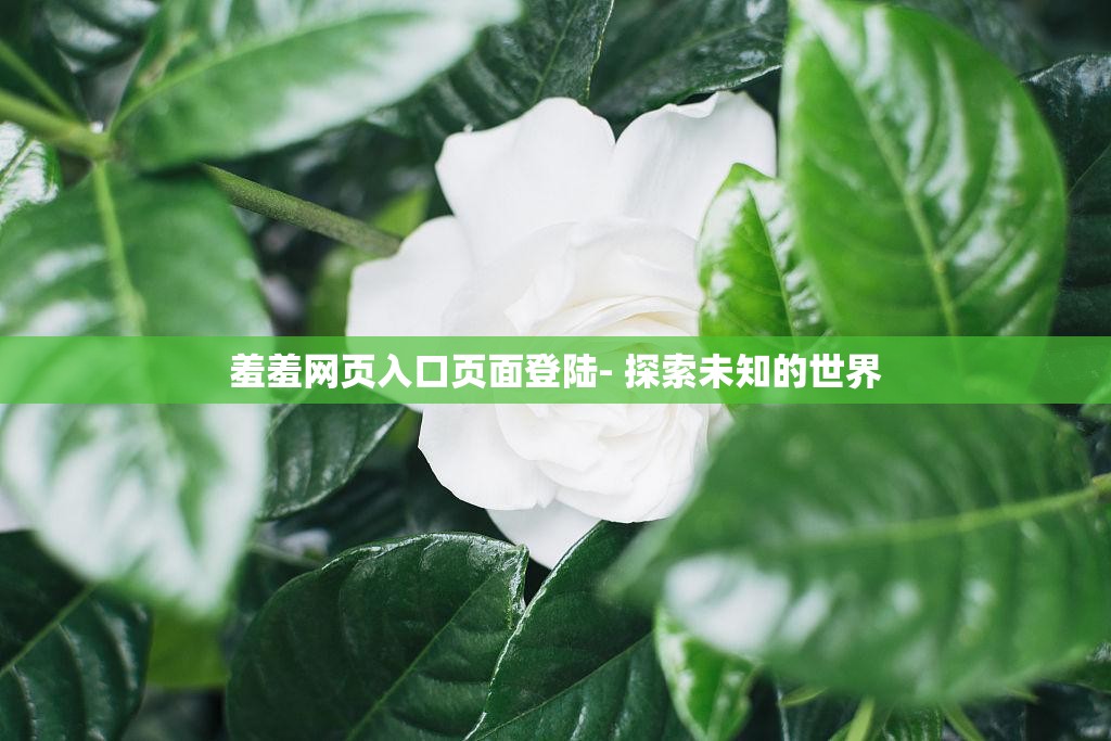 羞羞网页入口页面登陆- 探索未知的世界