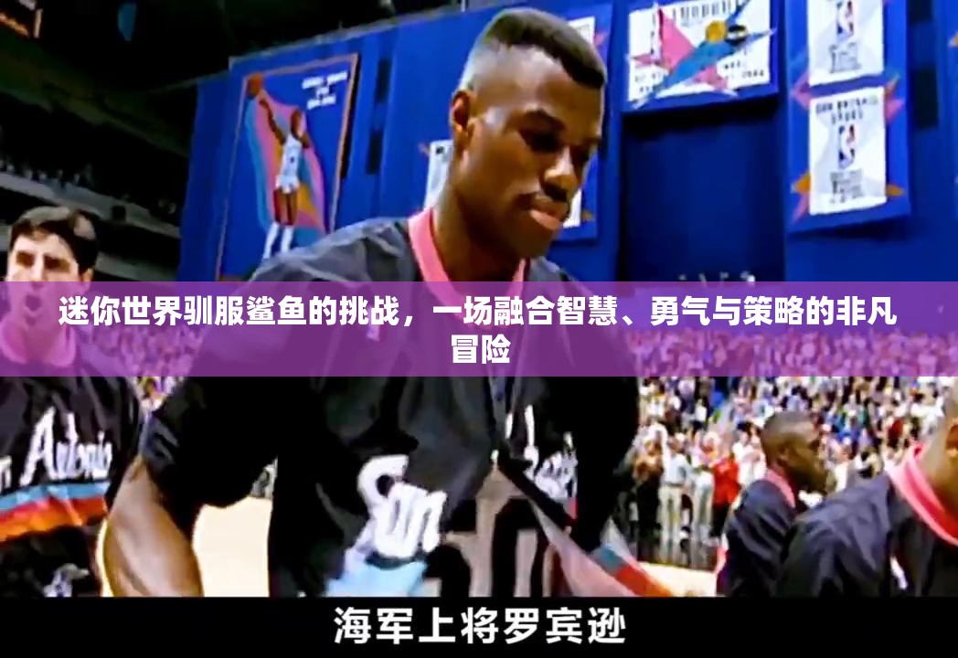 迷你世界驯服鲨鱼的挑战，一场融合智慧、勇气与策略的非凡冒险