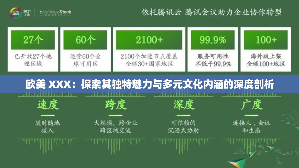 欧美 XXX：探索其独特魅力与多元文化内涵的深度剖析