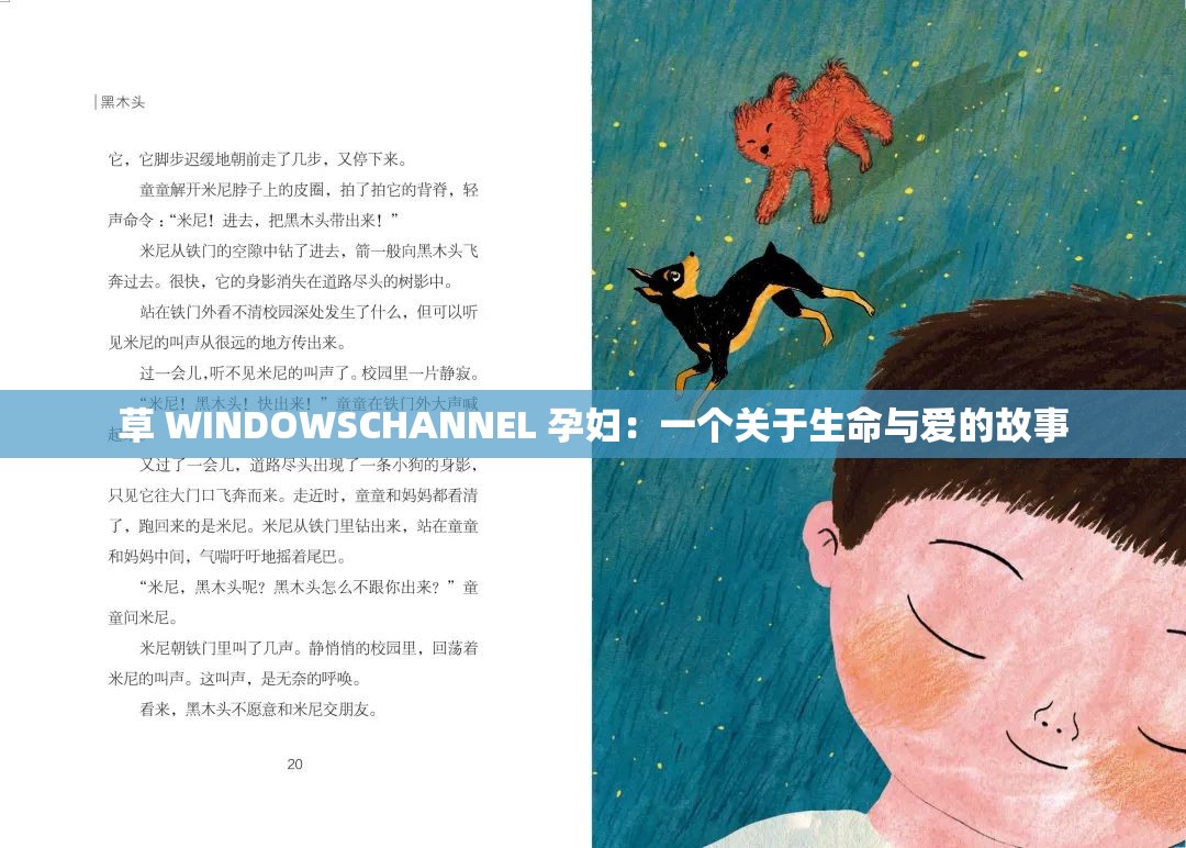 草 WINDOWSCHANNEL 孕妇：一个关于生命与爱的故事