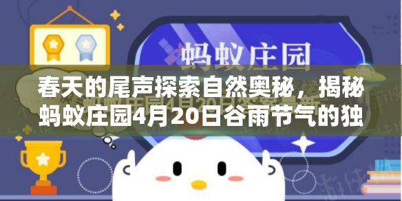春天的尾声探索自然奥秘，揭秘蚂蚁庄园4月20日谷雨节气的独特之谜