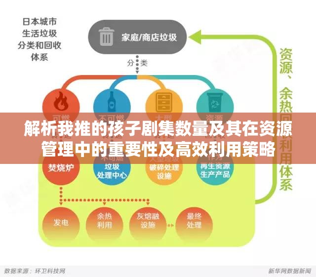 解析我推的孩子剧集数量及其在资源管理中的重要性及高效利用策略