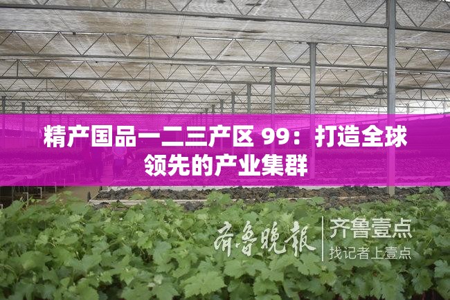 精产国品一二三产区 99：打造全球领先的产业集群