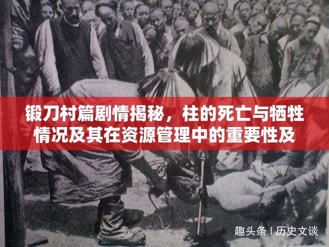 锻刀村篇剧情揭秘，柱的死亡与牺牲情况及其在资源管理中的重要性及策略探讨
