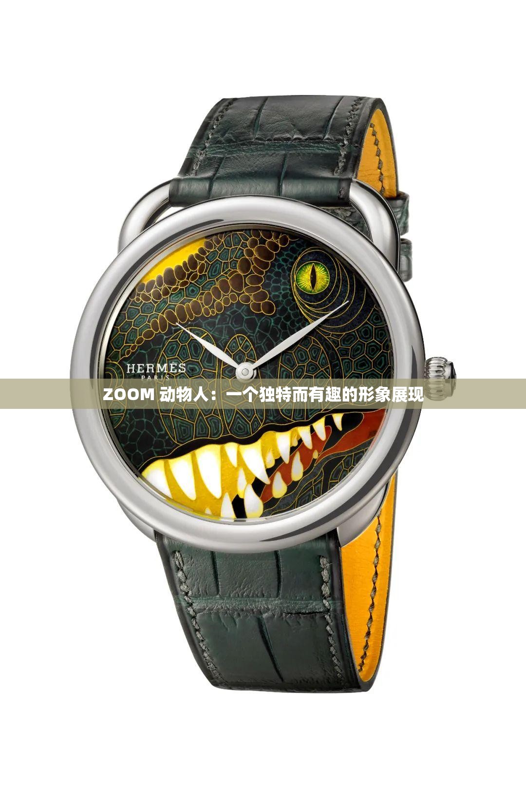 ZOOM 动物人：一个独特而有趣的形象展现