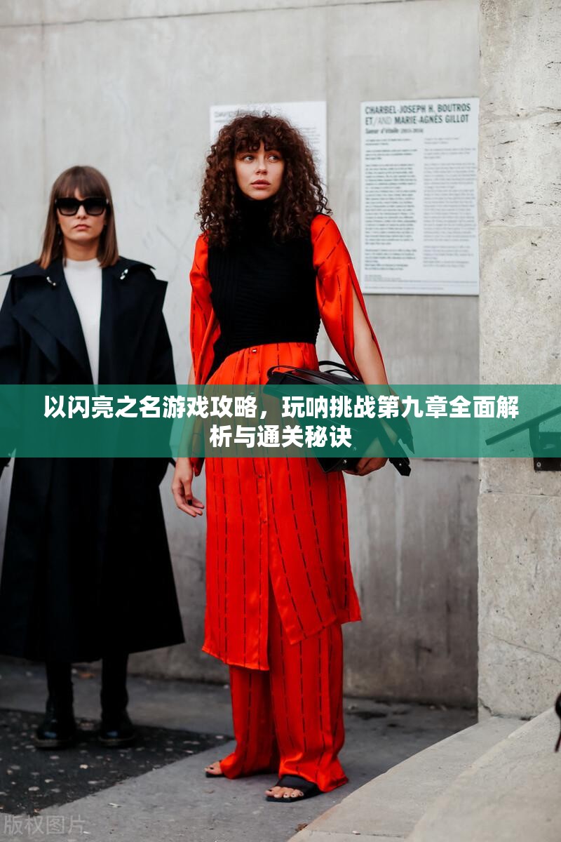 以闪亮之名游戏攻略，玩呐挑战第九章全面解析与通关秘诀