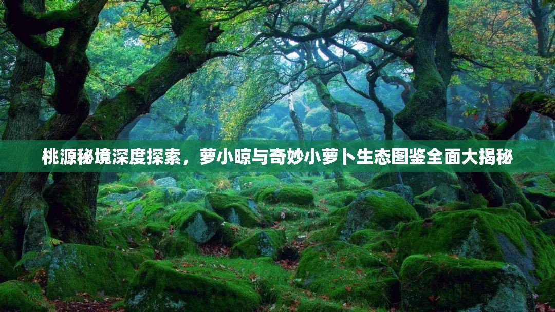 桃源秘境深度探索，萝小晾与奇妙小萝卜生态图鉴全面大揭秘