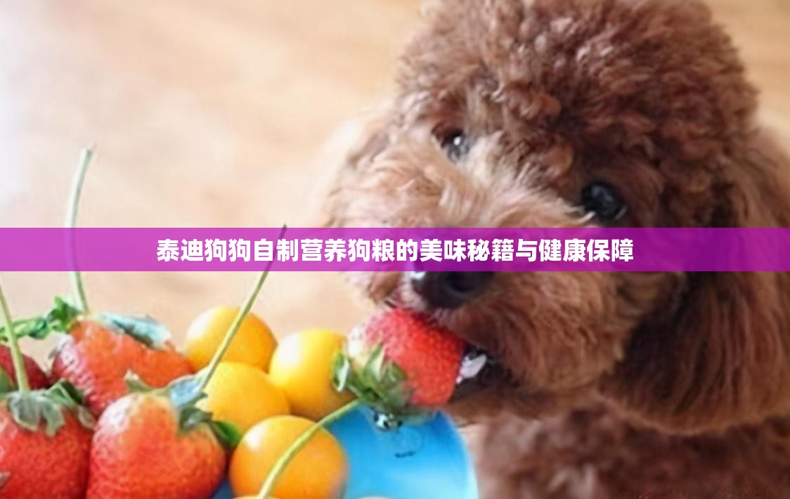 泰迪狗狗自制营养狗粮的美味秘籍与健康保障