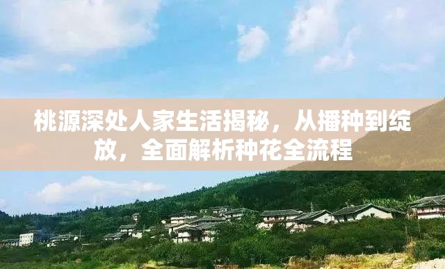 桃源深处人家生活揭秘，从播种到绽放，全面解析种花全流程