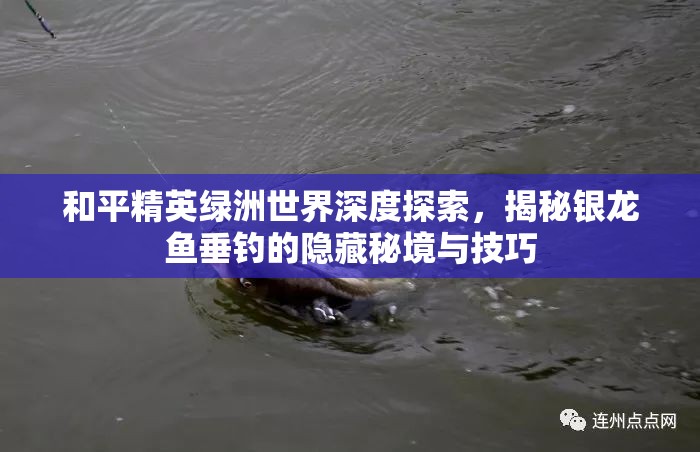 和平精英绿洲世界深度探索，揭秘银龙鱼垂钓的隐藏秘境与技巧