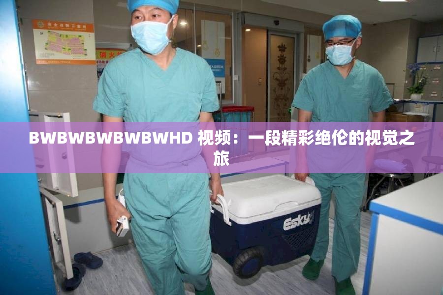 BWBWBWBWBWHD 视频：一段精彩绝伦的视觉之旅
