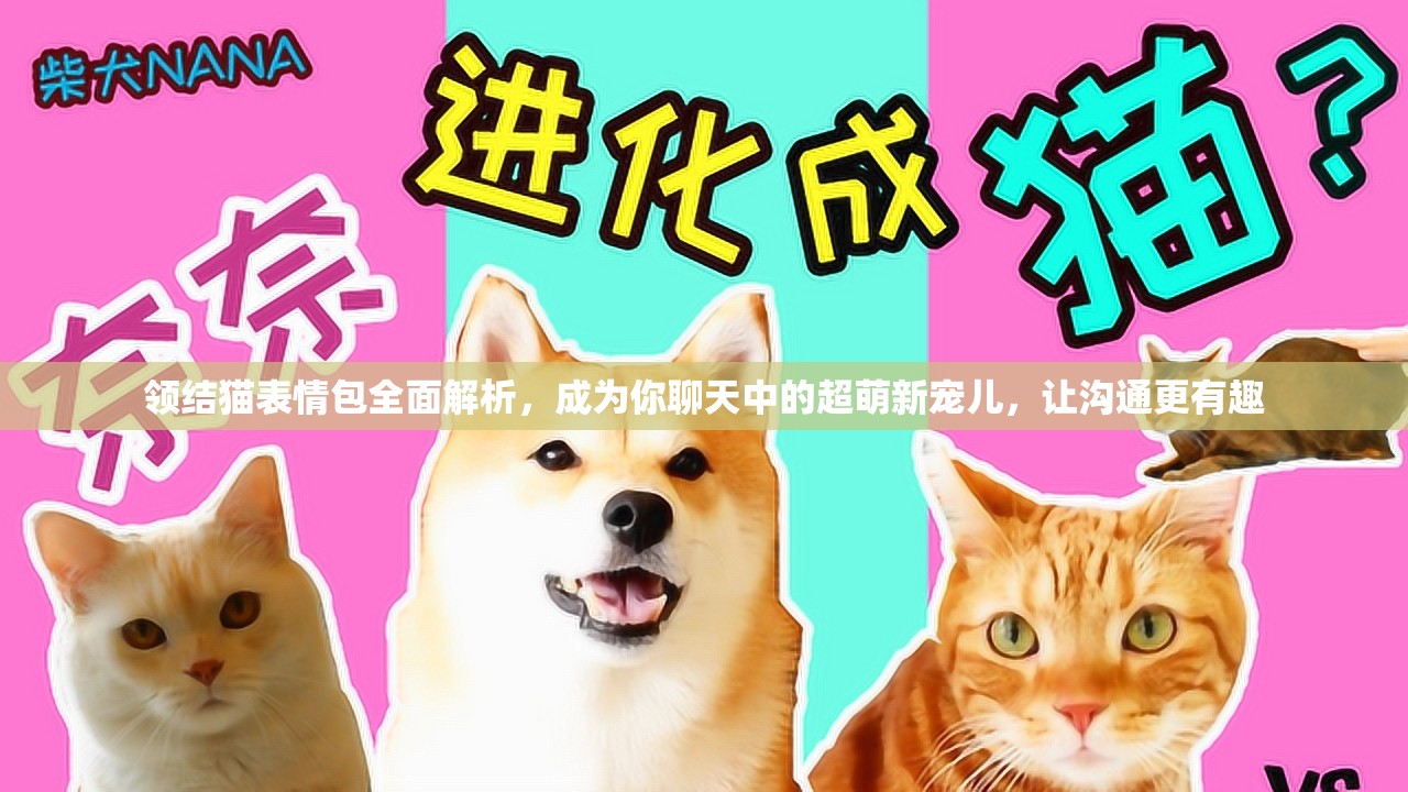 领结猫表情包全面解析，成为你聊天中的超萌新宠儿，让沟通更有趣