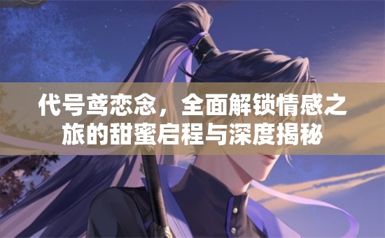 代号鸢恋念，全面解锁情感之旅的甜蜜启程与深度揭秘
