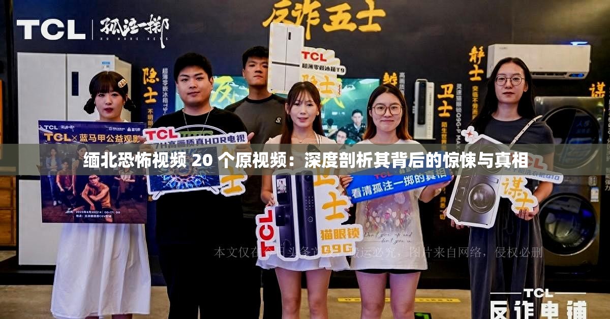 缅北恐怖视频 20 个原视频：深度剖析其背后的惊悚与真相