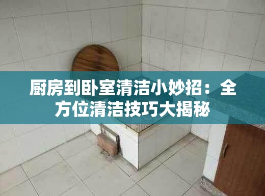 厨房到卧室清洁小妙招：全方位清洁技巧大揭秘