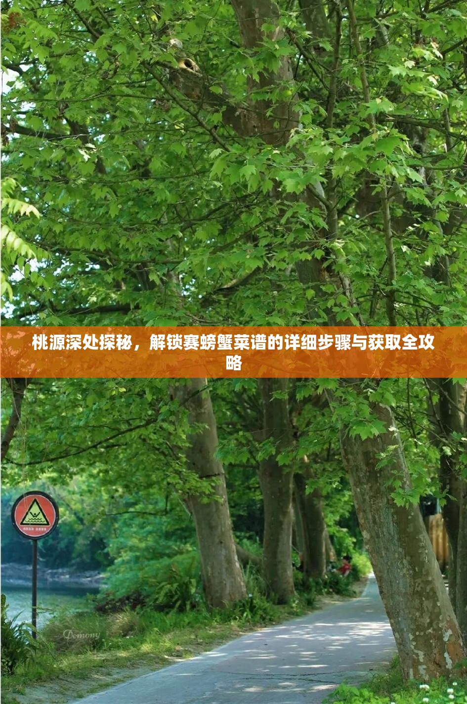 桃源深处探秘，解锁赛螃蟹菜谱的详细步骤与获取全攻略