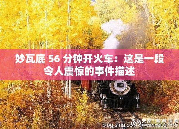 妙瓦底 56 分钟开火车：这是一段令人震惊的事件描述