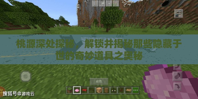 桃源深处探秘，解锁并揭秘那些隐藏于世的奇妙道具之奥秘